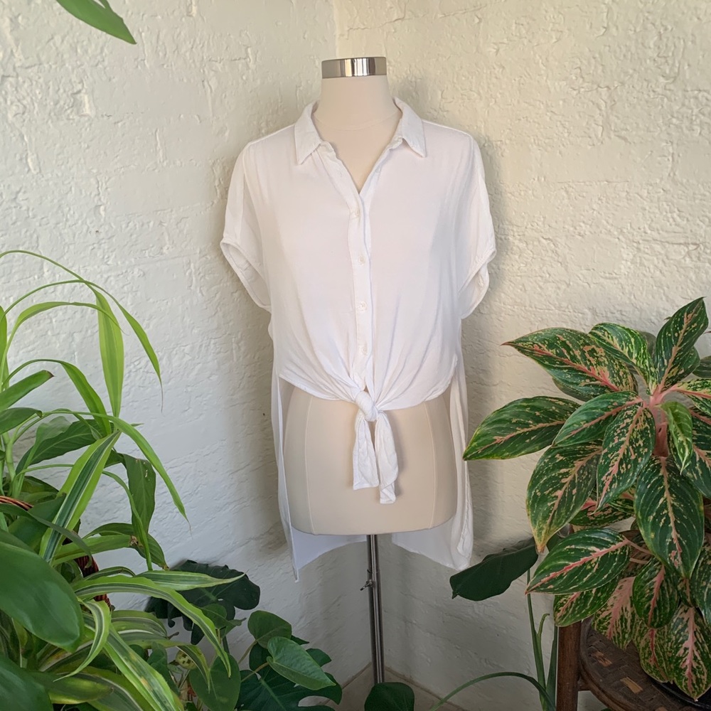 ASTR Paulina high low, short sleeve semi sheer blouse